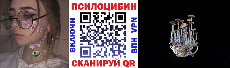 Галлюциногенные грибы прущие грибы  Саяногорск 